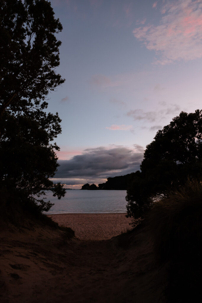 New Zealand beaches at sunset